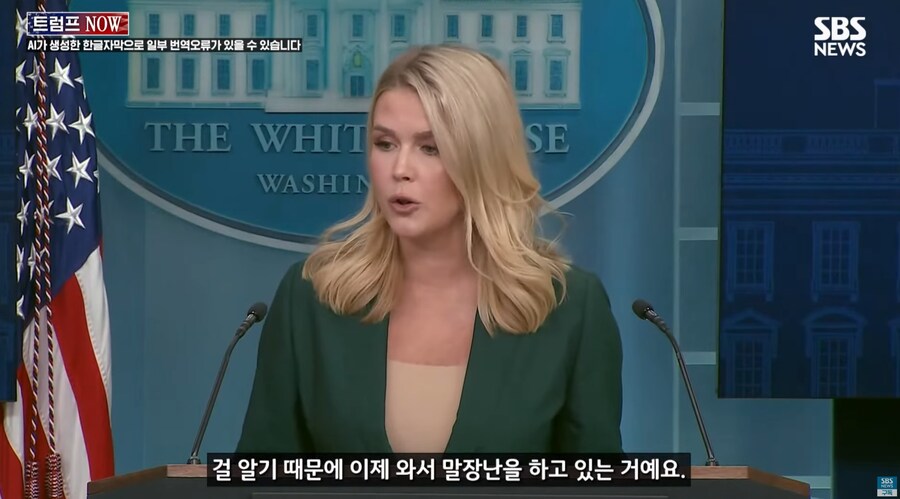 요즘 AI 근황류 甲_1.png