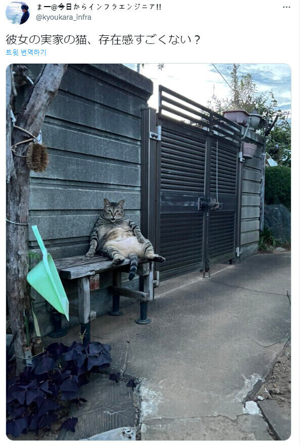 문운 여니 여자친구네 고양이가 나를 반겨준다_1.jpg