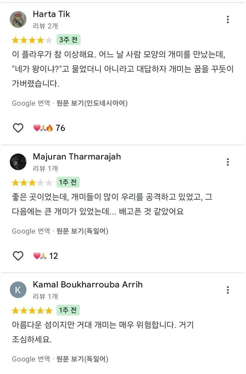 충격적인 외국인들의 제주도 리뷰_3.jpg