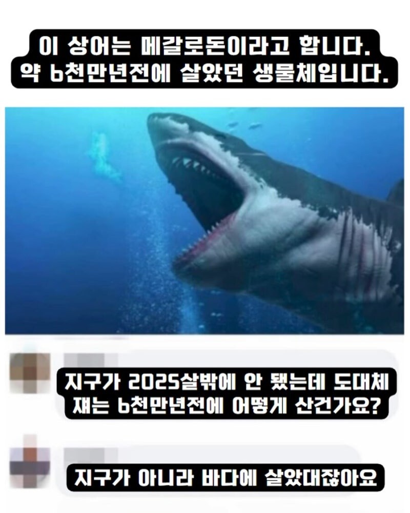 ??? : 메갈로돈은 6천만년전에 존재했습니다_1.png
