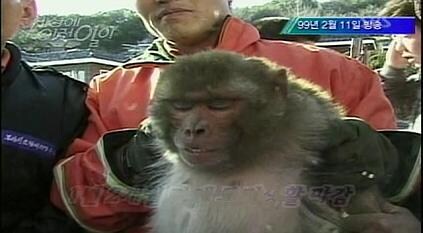 원숭이 아저씨의 대모험_8.jpg