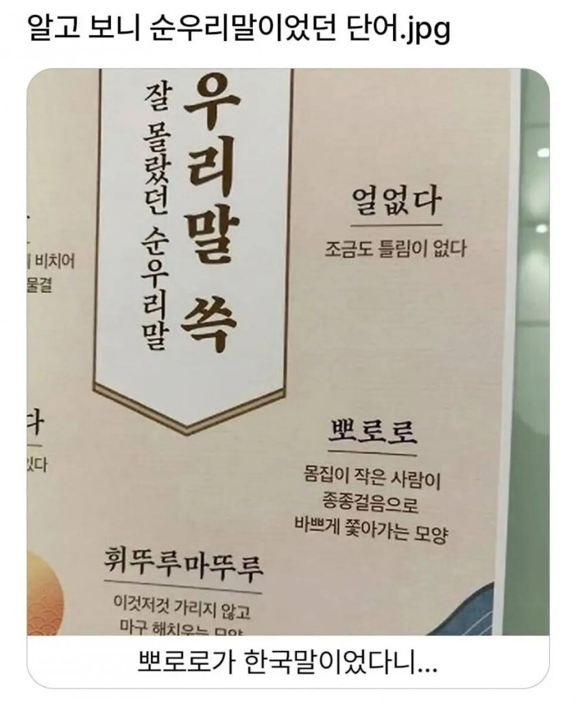 '뽀로로'가 순우리말이었다니_1.jpg