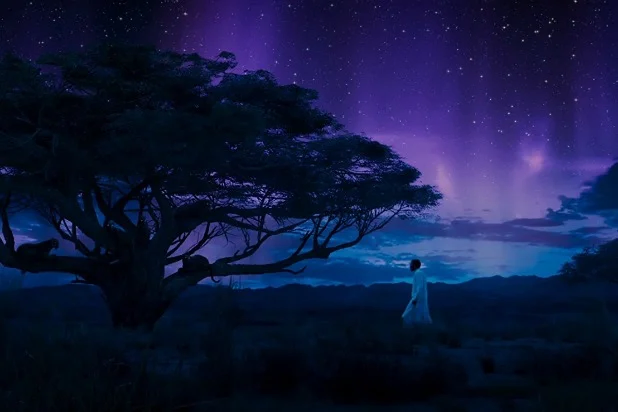 MCU) 블랙 팬서 초반에 킬몽거에게 트찰라가 공감하지 못한 이유로 추측되는 것_3.webp