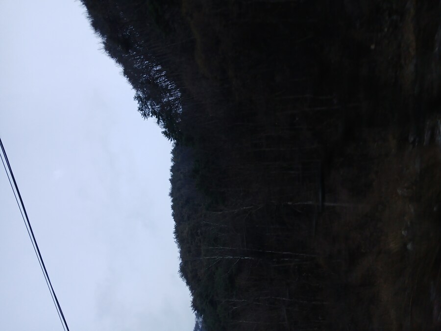 영덕 가는길인데 산불 피해 정말 심각하네_7.jpg