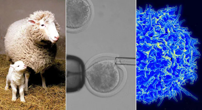 약혐) 한때 전세계 커뮤니티에서 난리 났었던 머리 교체 스타트업_6.webp