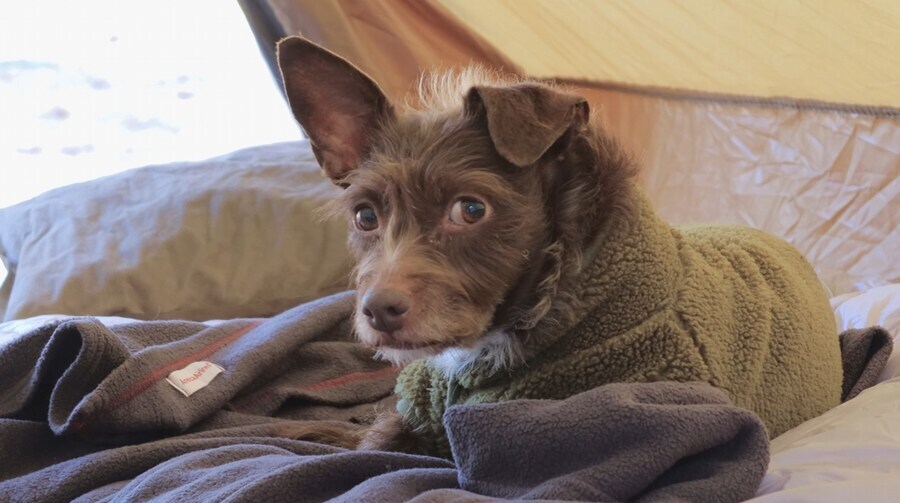 캠핑 요리 좀 먹을 줄 아는 외국인 형님_16.jpg