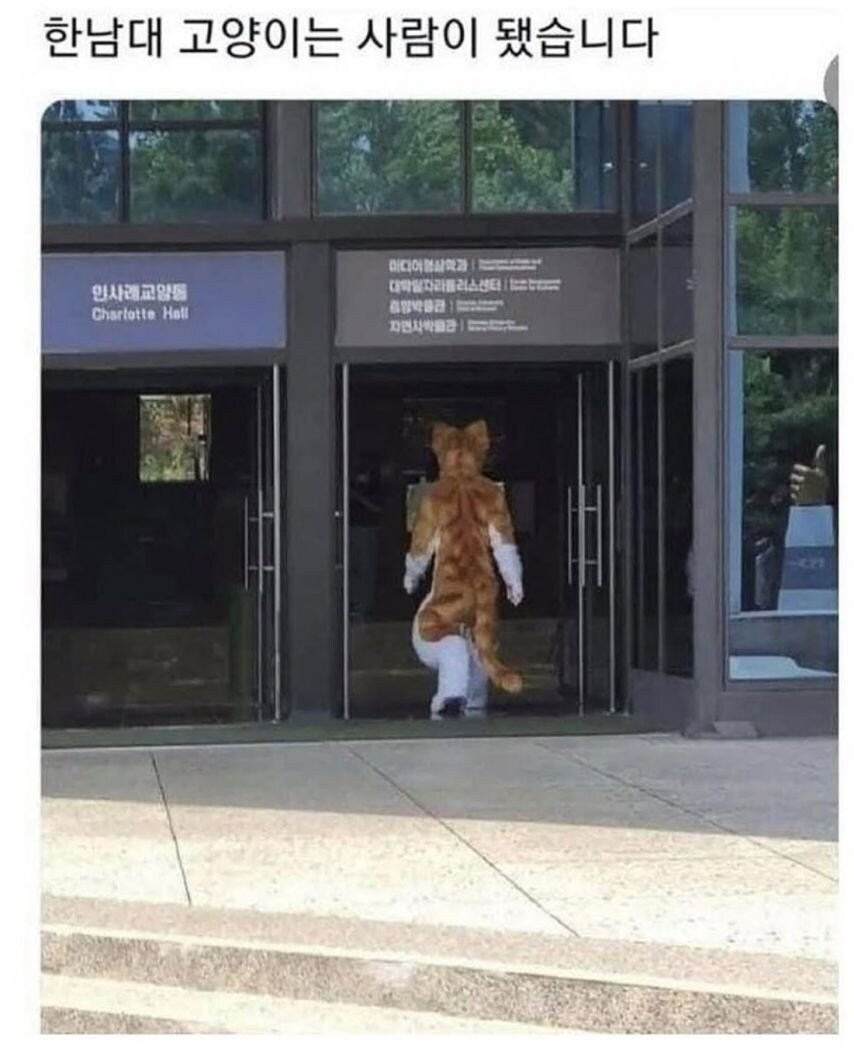 대학교별 고양이 자랑 대회.jpg_9.jpg