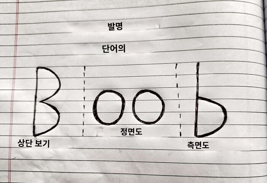 완벽한 영어 단어 'Boob'.jpg_2.jpg