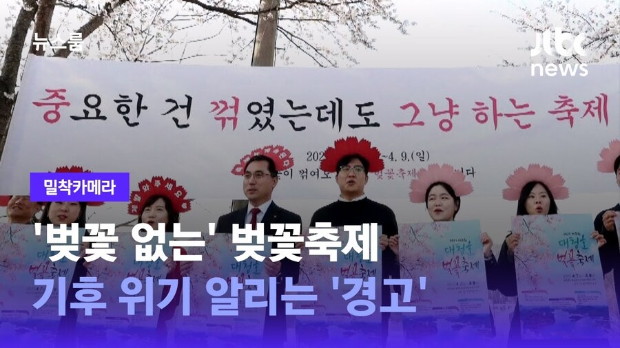 벚꽃 구경 다음주가 끝인 이유_2.jpg