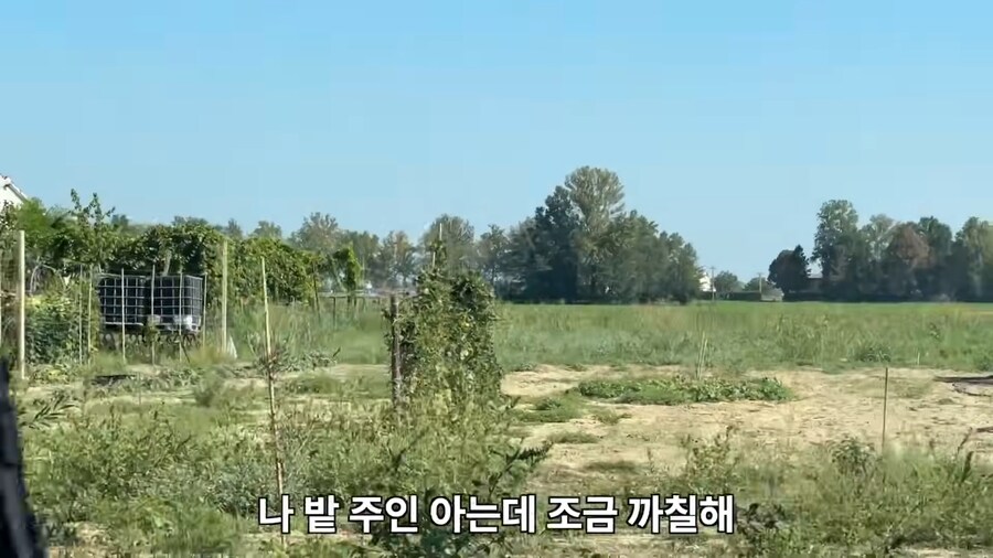 ??? : 여기 채소 밭은 그냥 다 공짜야!_4.png
