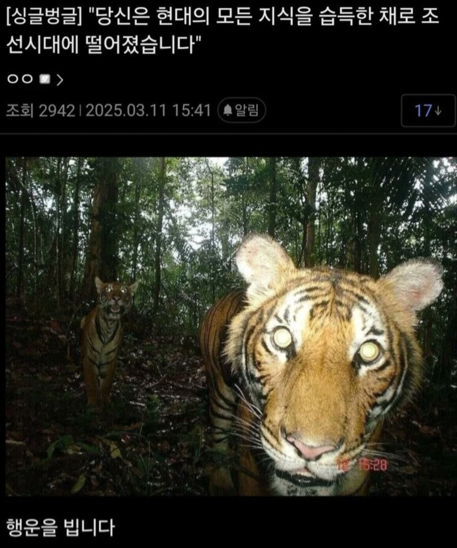 현대의 모든지식을 가지고 조선시대에 가면 생기는일_1.png