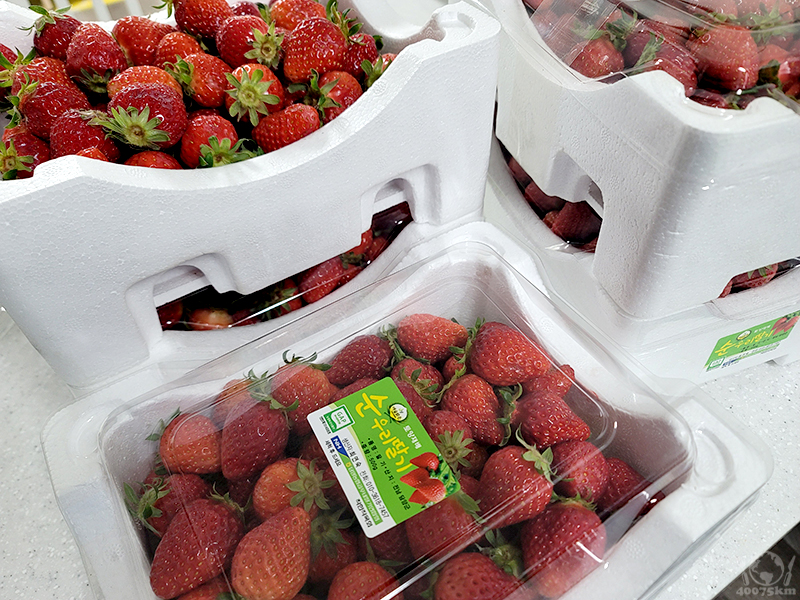 노지딸기의 계절입니다 feat. 딸기잼 10kg_1.jpg