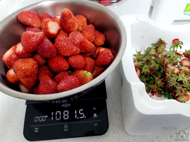 노지딸기의 계절입니다 feat. 딸기잼 10kg_2.jpg