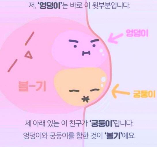 엉덩이와 궁둥이의 차이_1.jpg