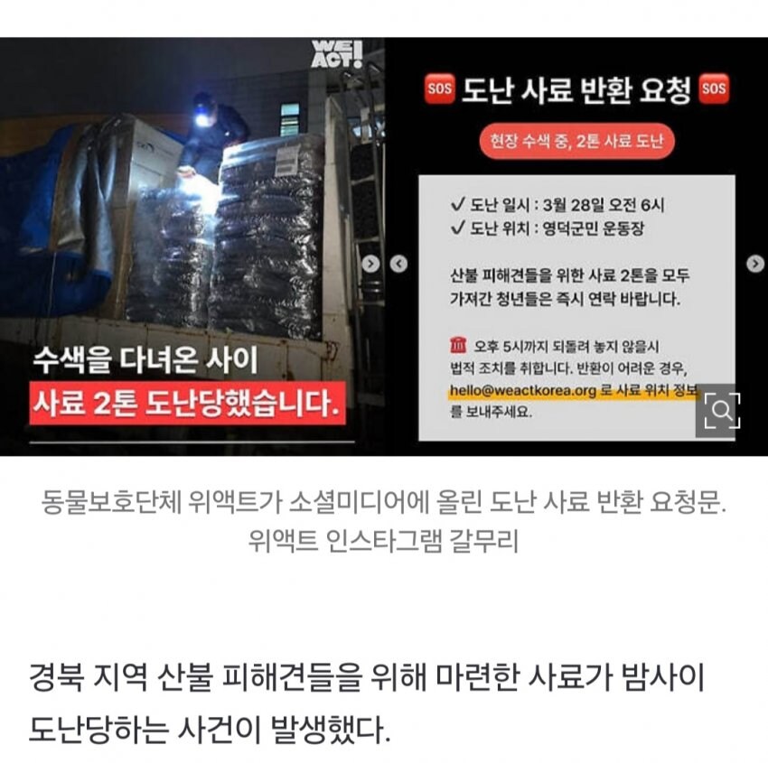 경북 산불 개사료 2톤 도난 사건의 전말_1.jpg