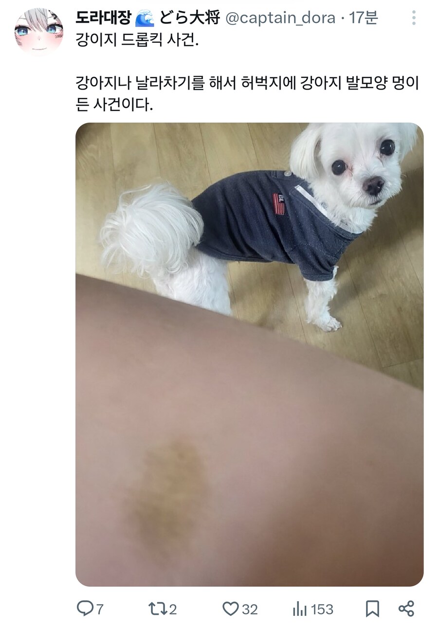 버튜버) 도라 근황은 아니고