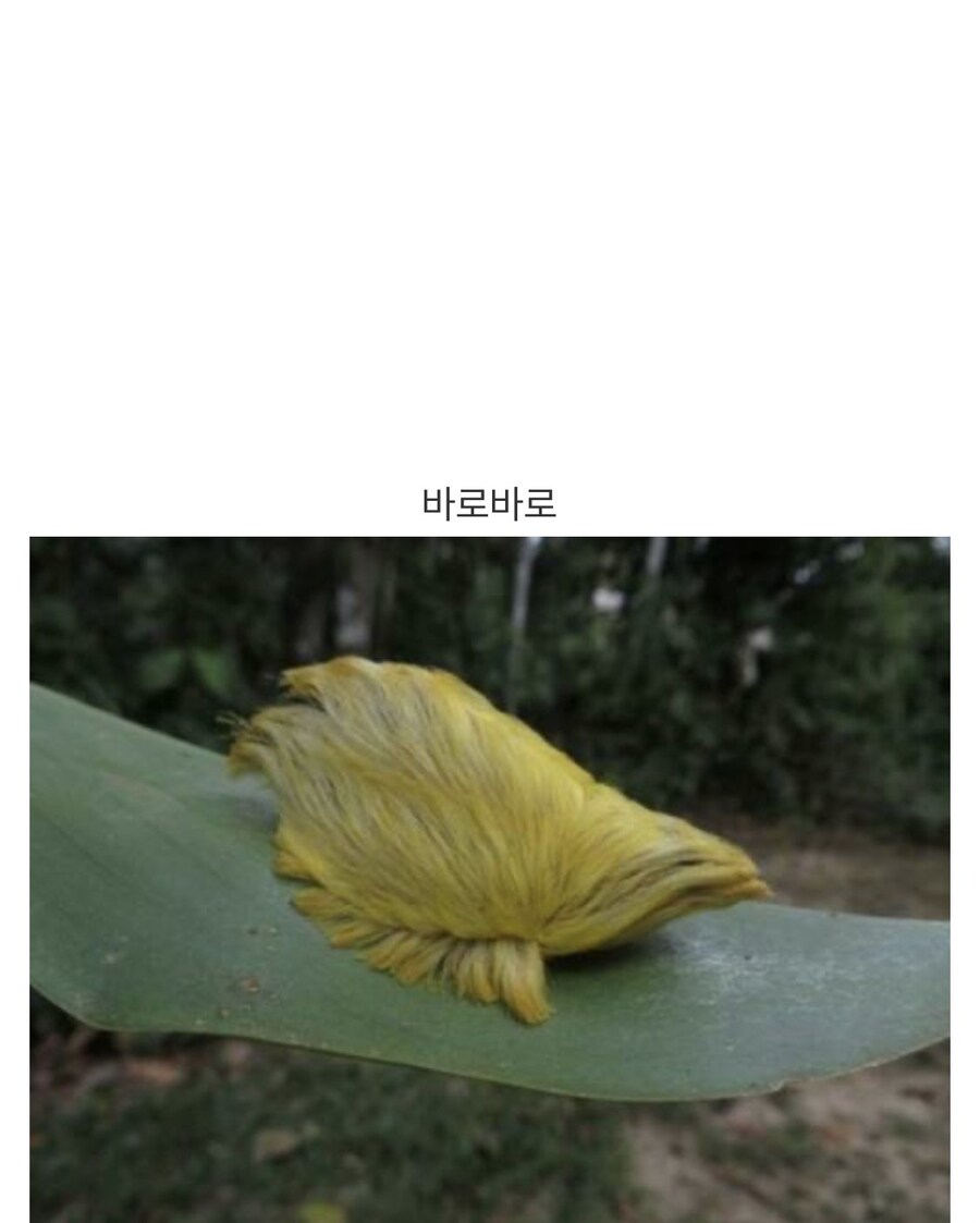 피자헛 크러스트 피자의 첫번째 광고모델_3.jpg