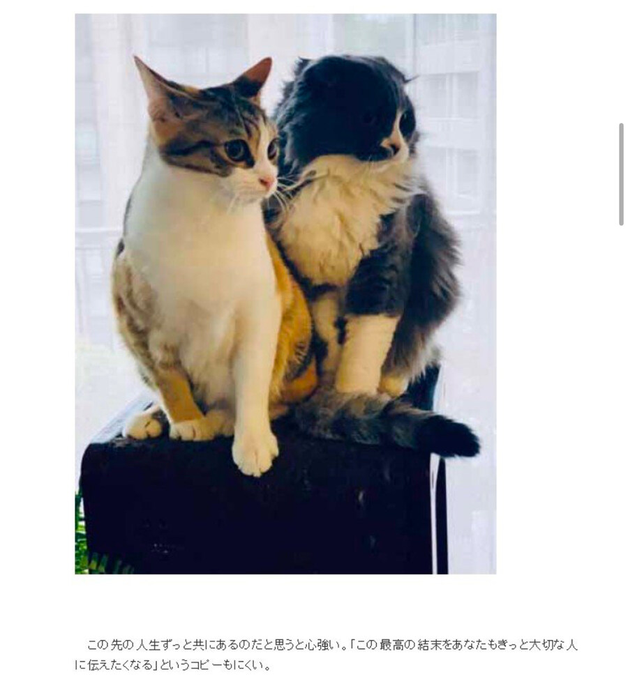 문화) K드라마_5.jpg