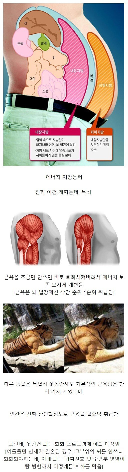 인간의 신체가 가진 장점.jpg_1.jpg
