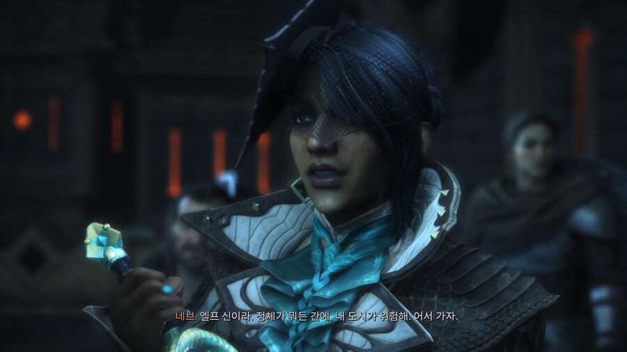 드래곤 에이지 베일가드_27.jpg