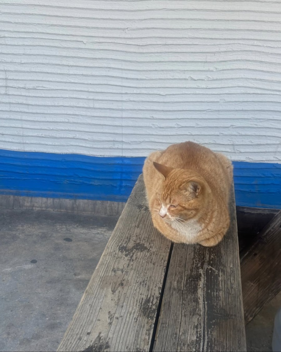 250404.패용.인스타그램 3.jpg