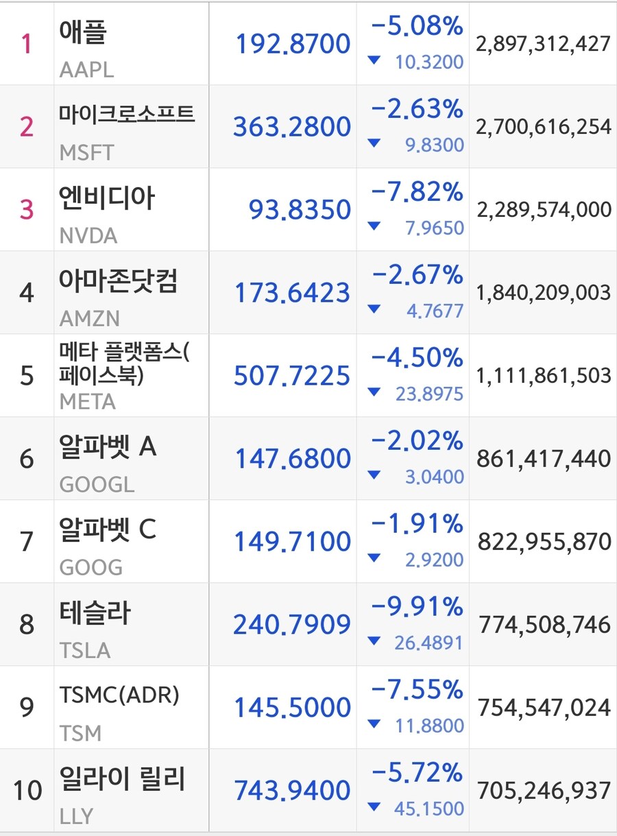 주식 미국 시총 상위 10개