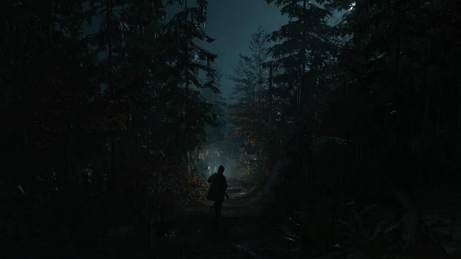 Alan Wake 2_22.jpg