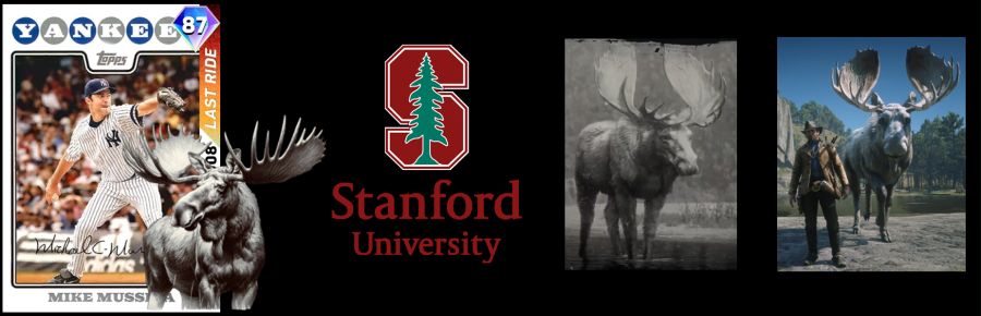 스포트라이트+라스트 라이드 프로그램 업데이트 정리._30.png