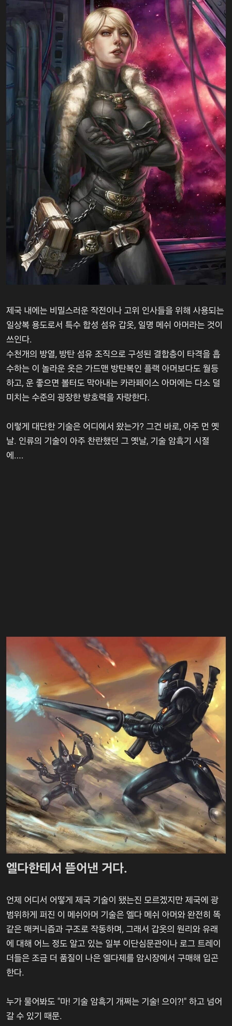 워해머 인류제국의 개쩌는 방탄복_1.jpg