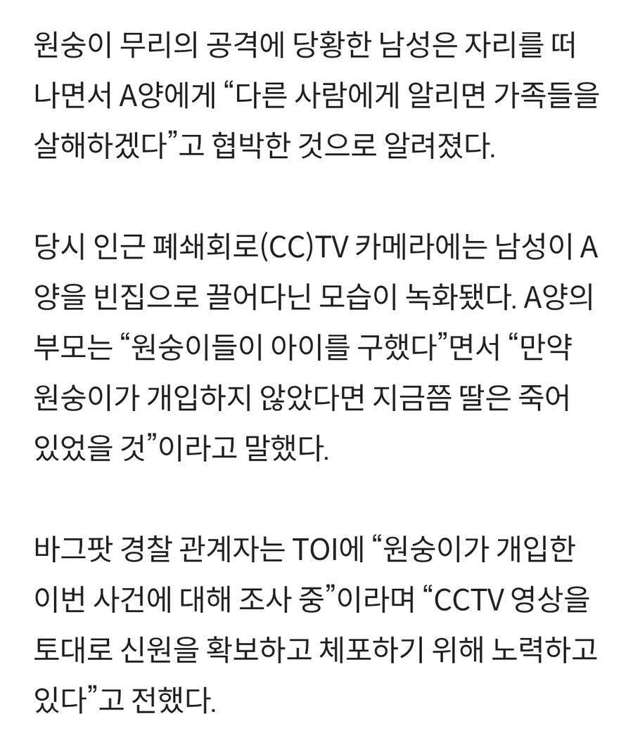 인도 원숭이들 "6살 성폭행하려던 아동 성범죄자 습격"_2.jpg