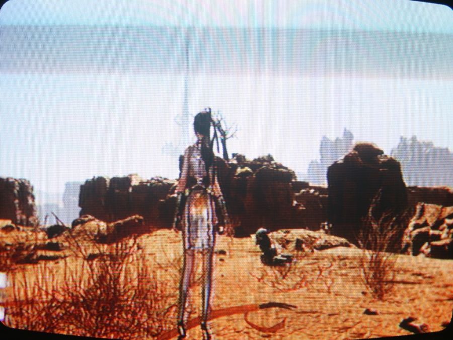 스텔라 블레이드_7.jpg