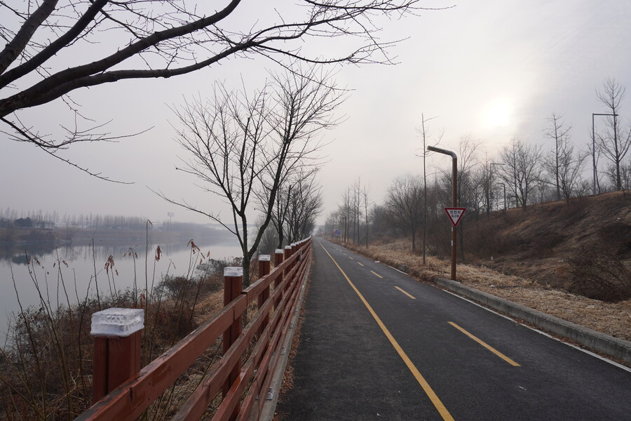 삼일절, 굴포천과 김포대수로 탐조_8.jpg