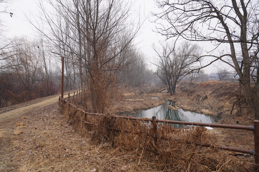 삼일절, 굴포천과 김포대수로 탐조_14.jpg