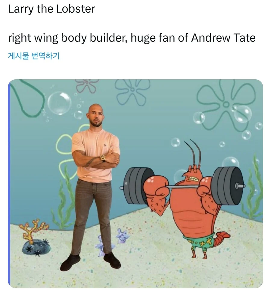 스폰지밥) 캐릭터들의 정치성향 추측_10.webp