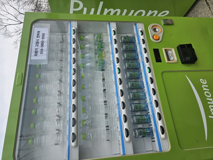 2025 서울 영등포 벗꽃 축제_13.jpg