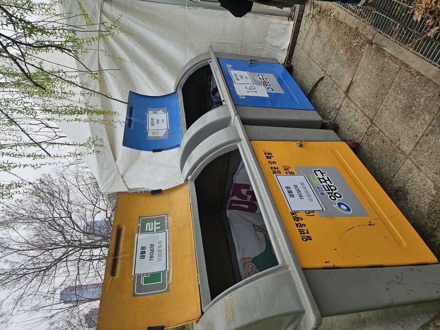 2025 서울 영등포 벗꽃 축제_18.jpg