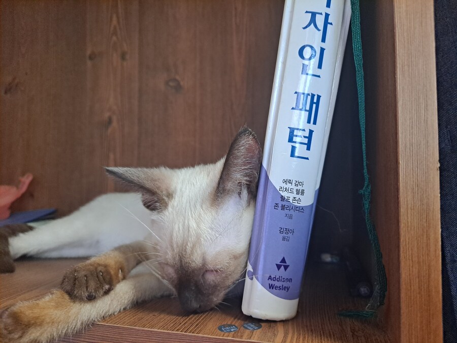 뭔가 자는 모습이 짠했던 아깽이는..._1.jpg