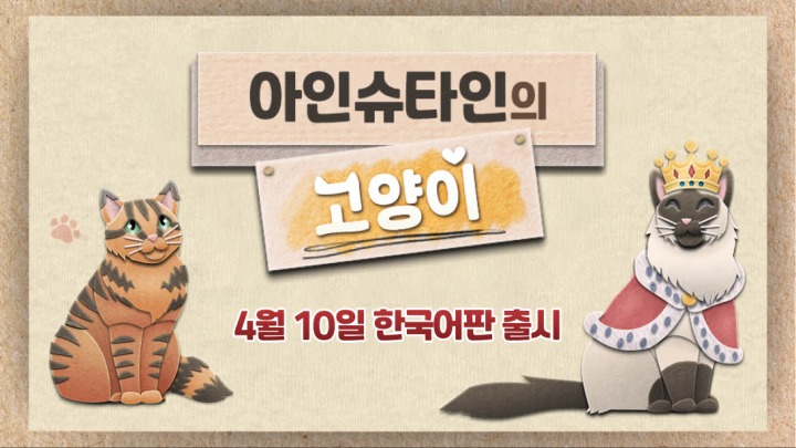 택티컬고양이 이미지