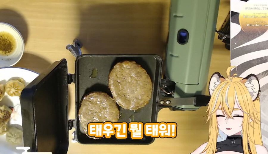 버미육)탄거아니야 마이야르야_26.jpg