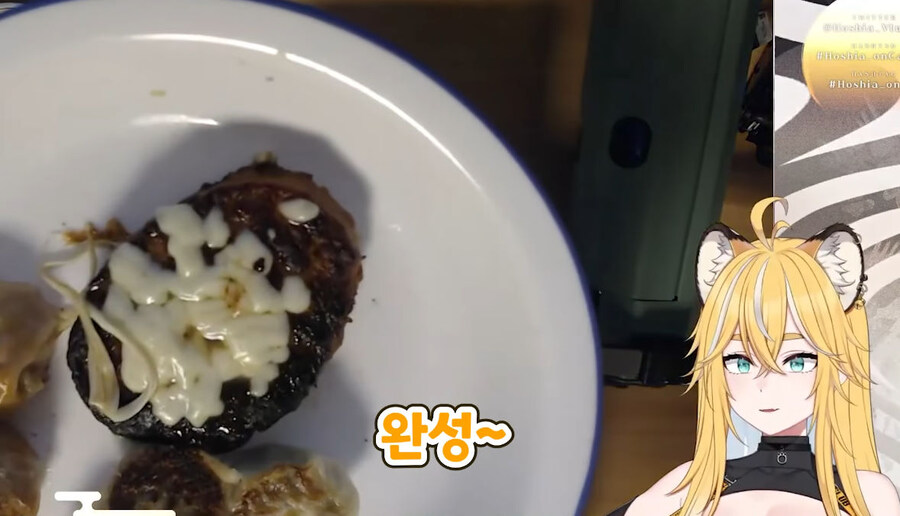 버미육)탄거아니야 마이야르야_44.jpg