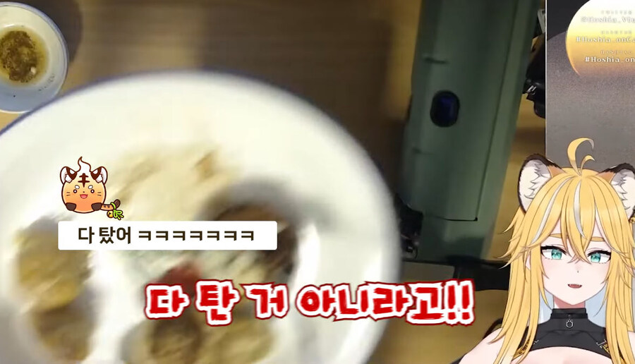 버미육)탄거아니야 마이야르야_47.jpg