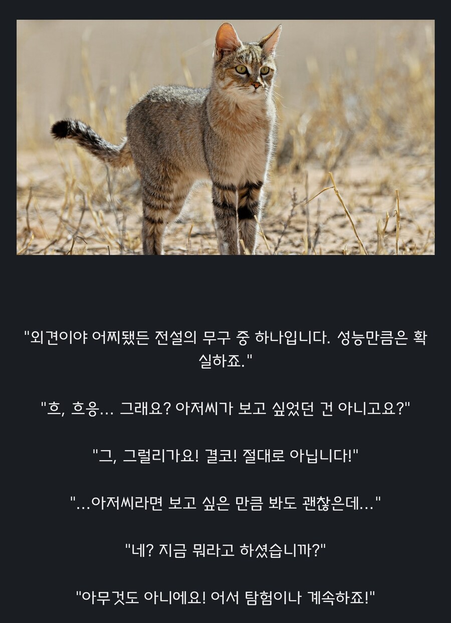 원숭이 아저씨의 대모험_14.jpg