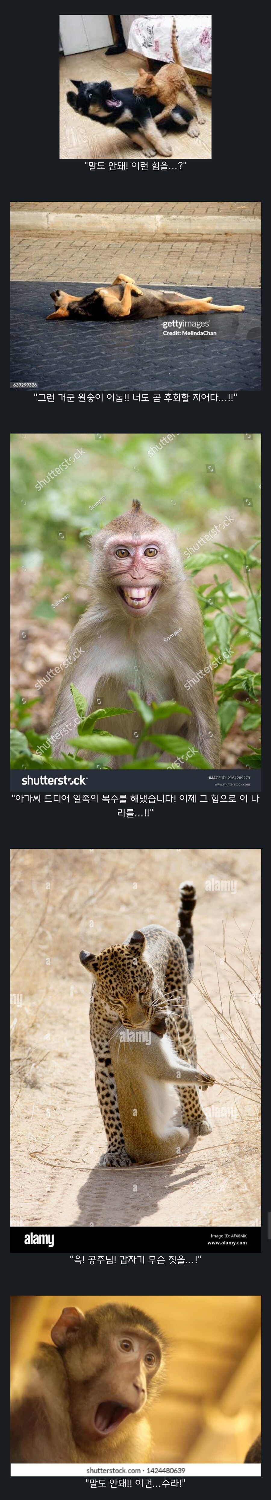 원숭이 아저씨의 대모험_17.jpg