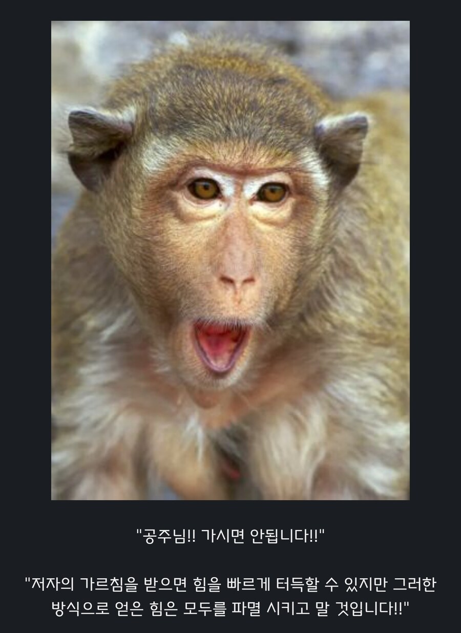 원숭이 아저씨의 대모험_22.jpg