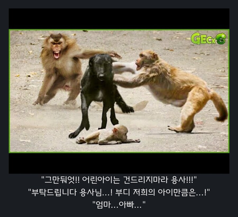 원숭이 아저씨의 대모험_24.jpg