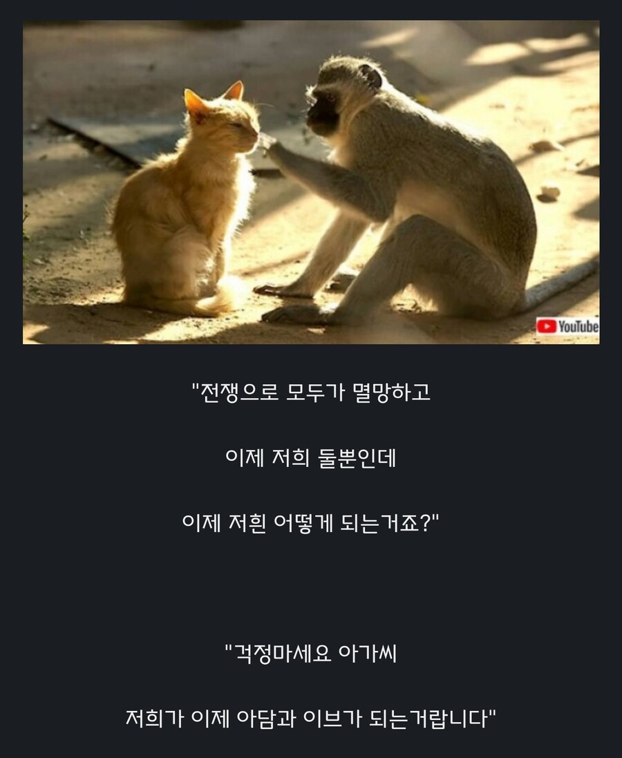 원숭이 아저씨의 대모험_26.jpg