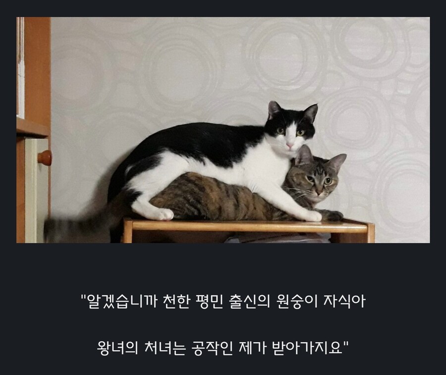 원숭이 아저씨의 대모험_29.jpg
