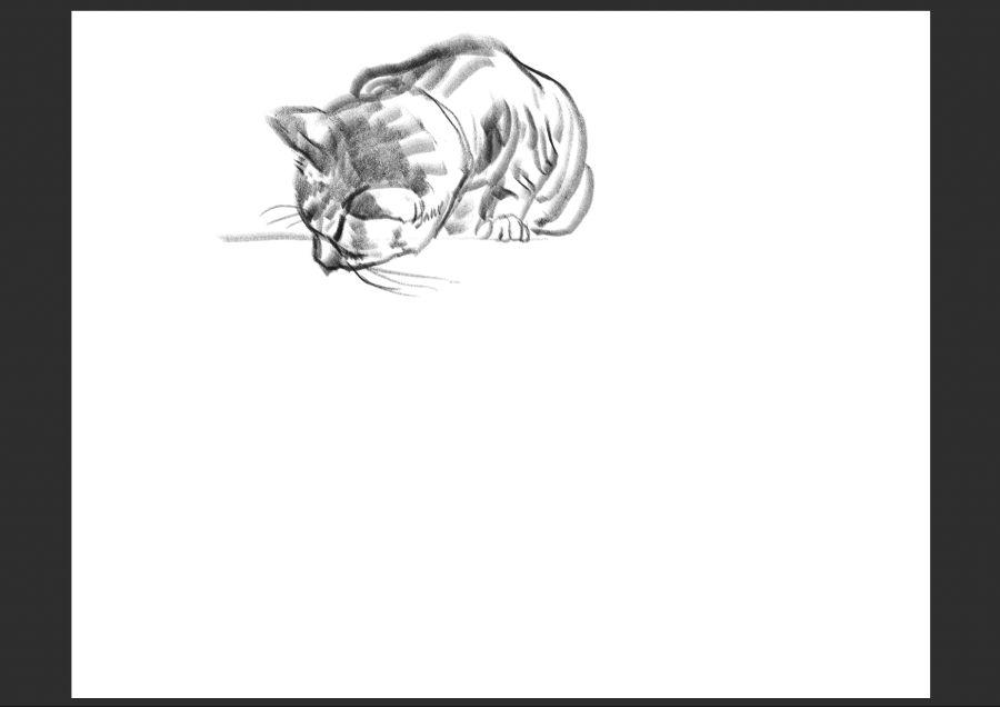 우리집 고양이 보고가셈_2.jpg