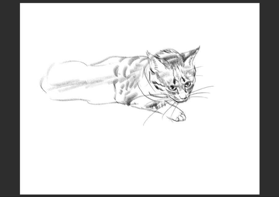 우리집 고양이 보고가셈_4.jpg