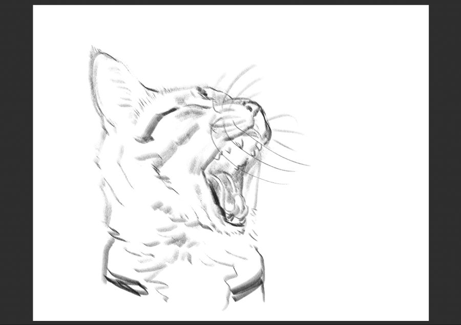 우리집 고양이 보고가셈_17.jpg